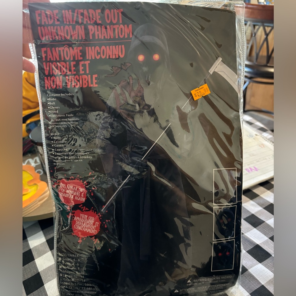 Phantom Halloween Costume